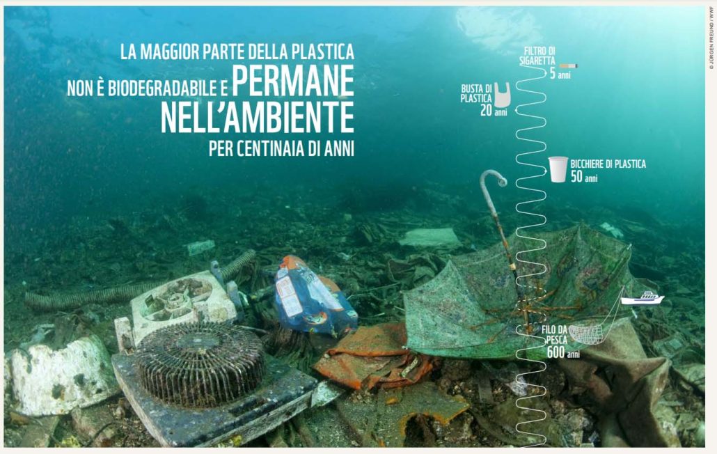 SOS Plastica in mare - ViVi GREEN